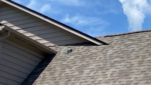 Close-up image of a brown shingle roof.